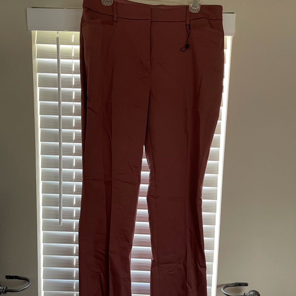 Express dress pants in mauve